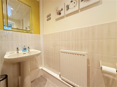 Picture 10